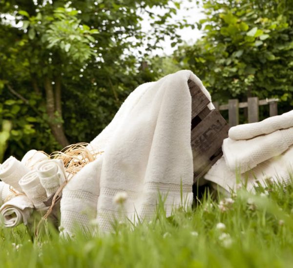 Paris property management with Bio Rentals