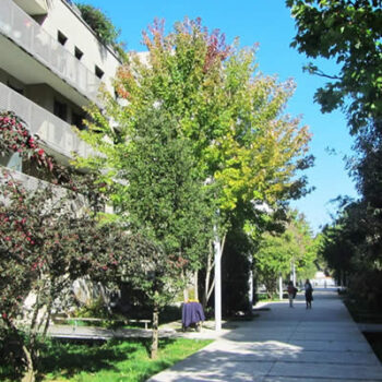 Eco-quartier